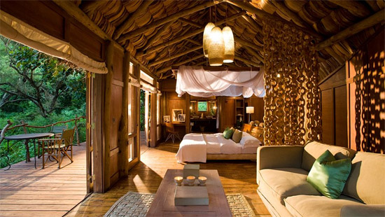 Safari tanzanie luxe