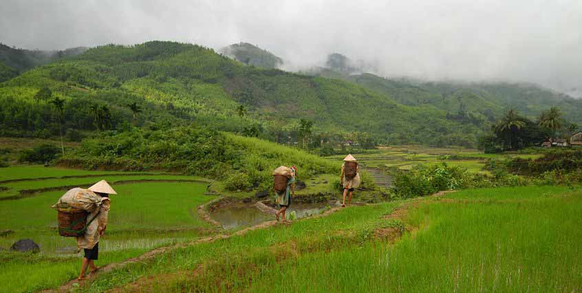 Vietnam